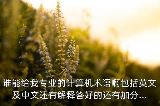 谁能给我专业的计算机术语啊包括英文及中文还有解释答好的还有加分...