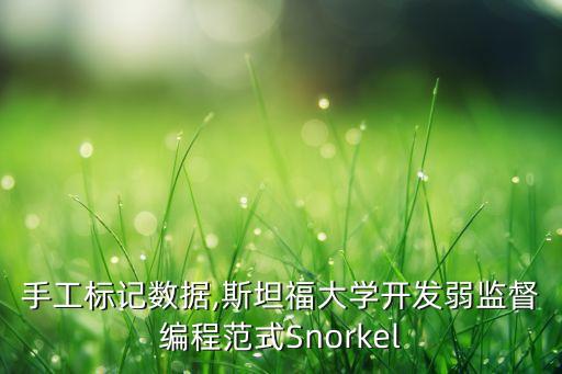 手工标记数据,斯坦福大学开发弱监督编程范式snorkel