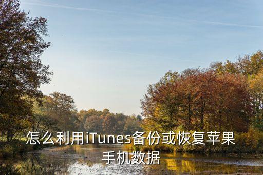 怎么利用itunes备份或恢复苹果手机数据