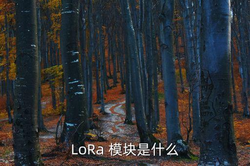 lora 模块是什么