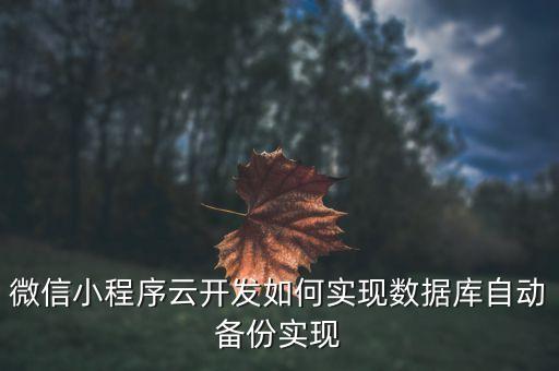 微信小程序云开发如何实现数据库自动备份实现