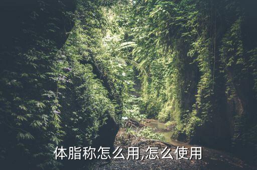 体脂称怎么用,怎么使用