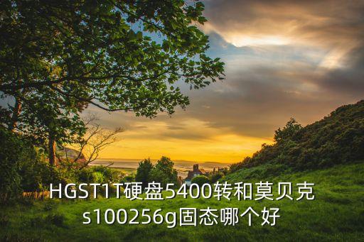 hgst1t硬盘5400转和莫贝克s100256g固态哪个好