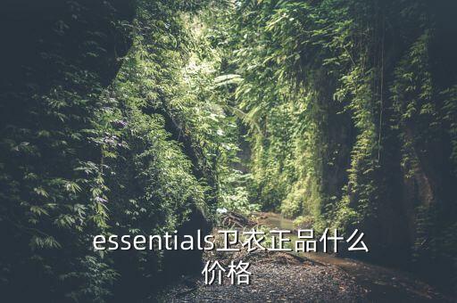  essentials卫衣正品什么价格