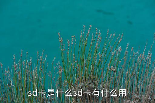 sd卡是什么sd卡有什么用