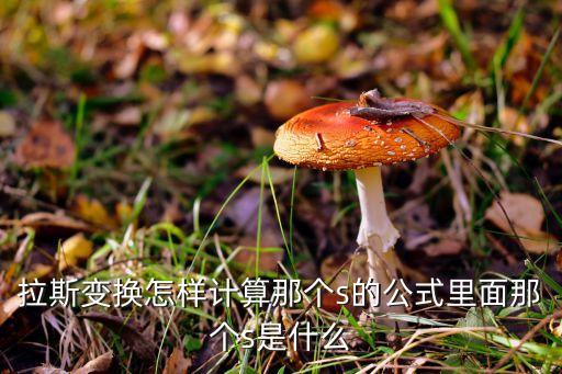 拉斯变换怎样计算那个s的公式里面那个s是什么