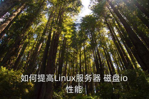 如何提高linux服务器 磁盘io性能