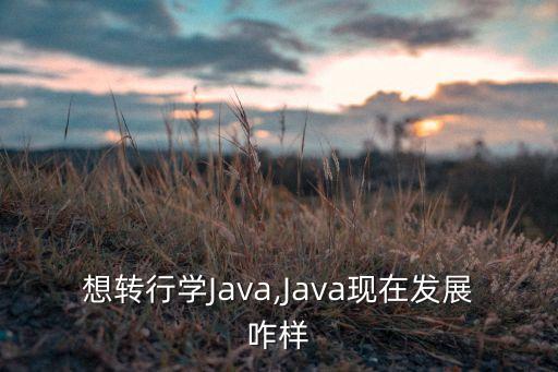 想转行学java,java现在发展咋样