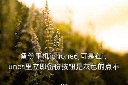 备份手机iphone6,可是在itunes里立即备份按钮是灰色的点不...