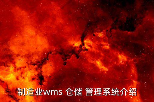 制造业wms 仓储 管理系统介绍