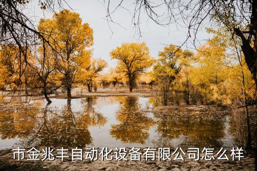 深圳市福永自动化设备,福永自动化仪表厂