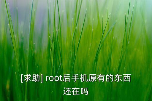 [求助] root后手机原有的东西还在吗