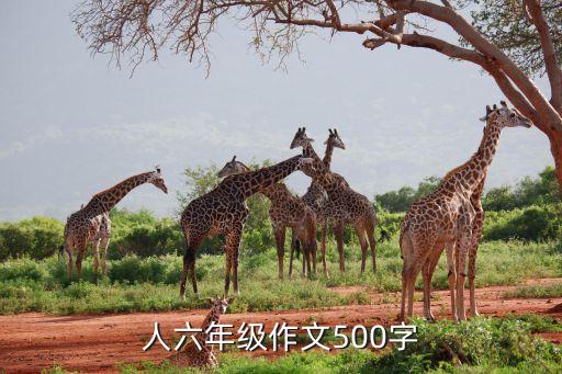 弹琴机器人特奥的,特奥机器人弹琴