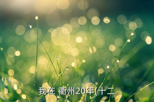 我在 衢州20年(十二