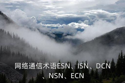 网络通信术语esn、isn、dcn、nsn、ecn