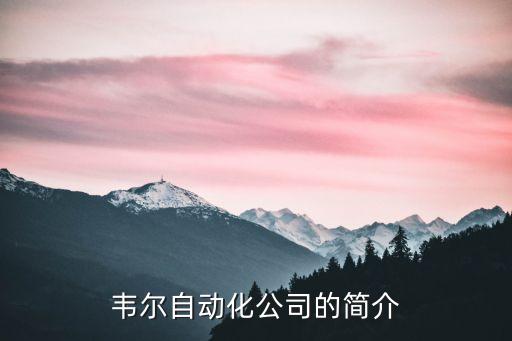 韦尔自动化公司的简介