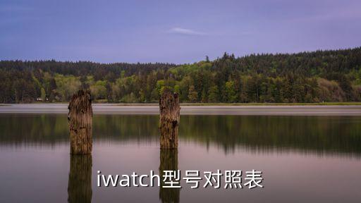 iwatch型号对照表