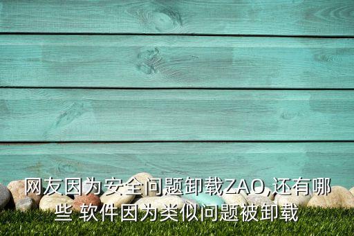 网友因为安全问题卸载zao,还有哪些 软件因为类似问题被卸载