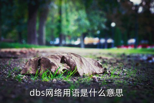 dbs网络用语是什么意思