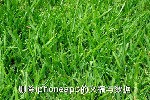 删除iphoneapp的文稿与数据