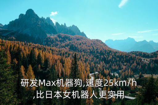 max 暂无可用的机器人,max目前没有可用的机器人