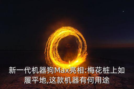 新一代机器狗max亮相:梅花桩上如履平地,这款机器有何用途