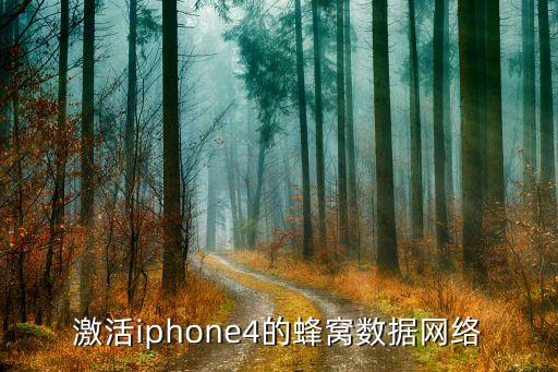 激活iphone4的蜂窝数据网络