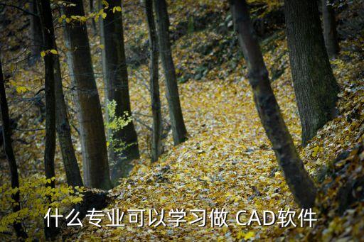 电气自动化cad去哪学