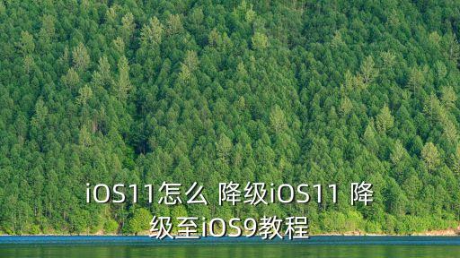 ios11怎么 降级ios11 降级至ios9教程