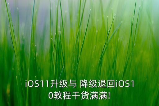 ios11升级与 降级退回ios10教程干货满满!