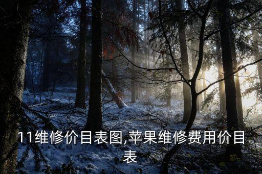 11维修价目表图,苹果维修费用价目表