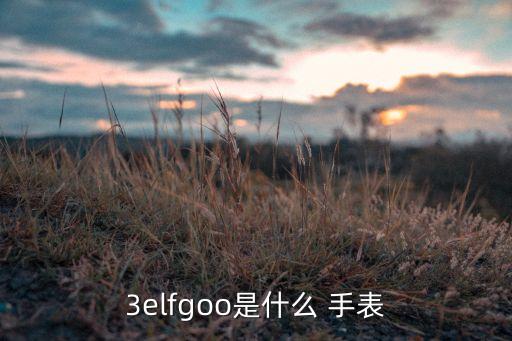 3elfgoo是什么 手表