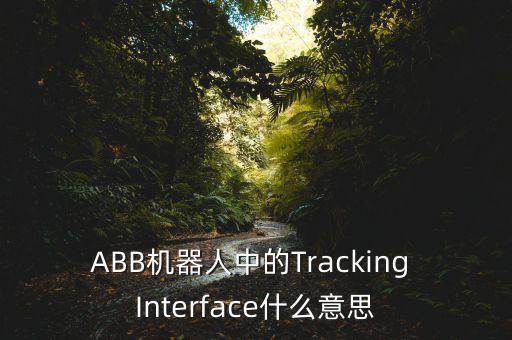 abb机器人中的tracking interface什么意思