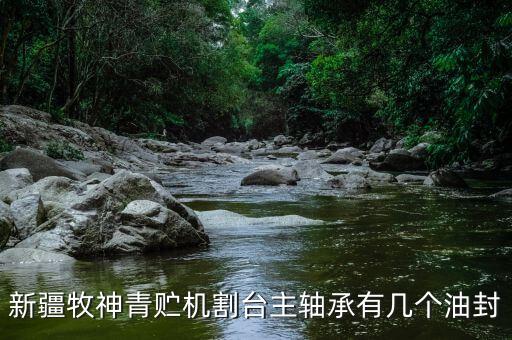 新疆牧神青贮机割台主轴承有几个油封