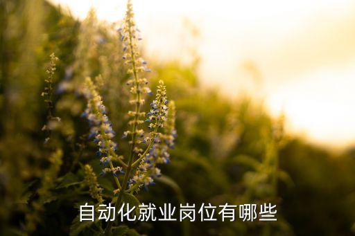 自动化专业相关就业岗位,机械自动化专业岗位