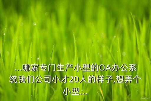 ...哪家专门生产小型的oa办公系统我们公司小才20人的样子,想弄个小型...