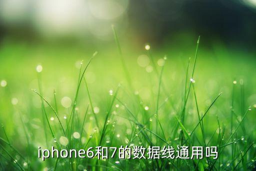 iphone6和7的数据线通用吗