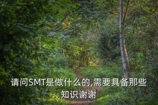 请问smt是做什么的,需要具备那些知识谢谢