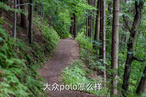 大众polo自动科技版怎么样，三厢polo自动档怎么样家用的