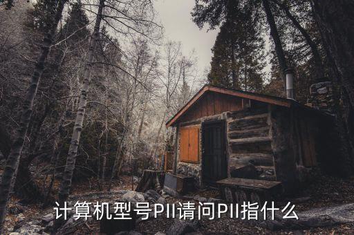 计算机型号pii请问pii指什么