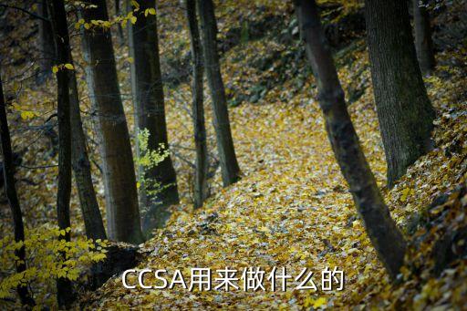 ccsa用来做什么的