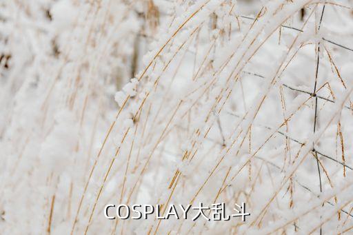 cosplay大乱斗