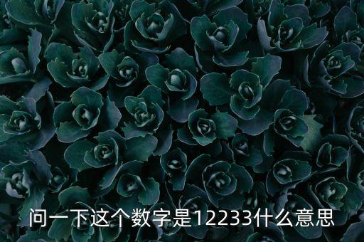 12233，问一下这个数字是12233什么意思