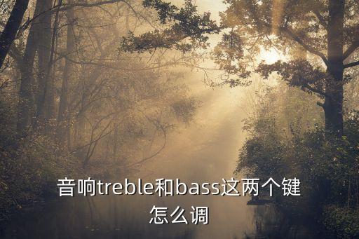 音响treble和bass这两个键怎么调