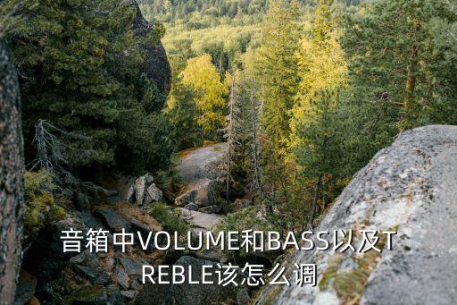 音箱中volume和bass以及treble该怎么调