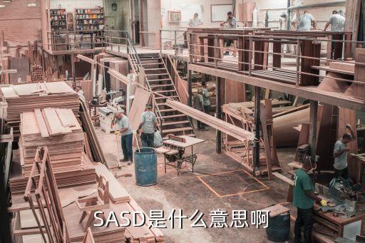 sasd是什么意思啊