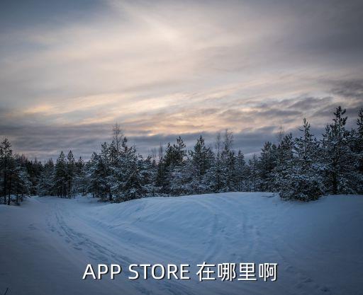 app store 在哪里啊