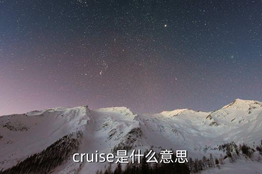 cruise，cruise是什么意思