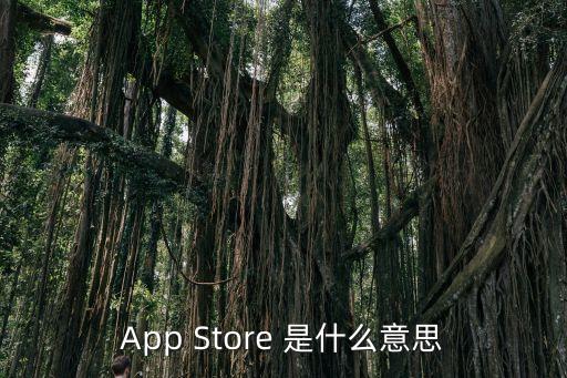 app store 是什么意思