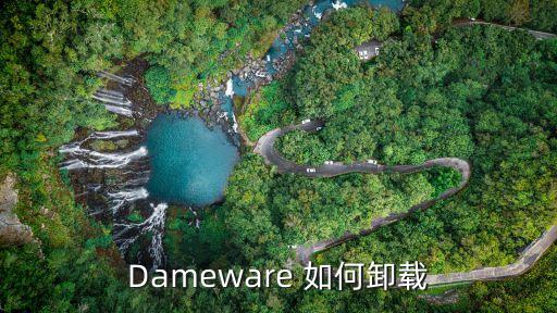 dameware 如何卸载